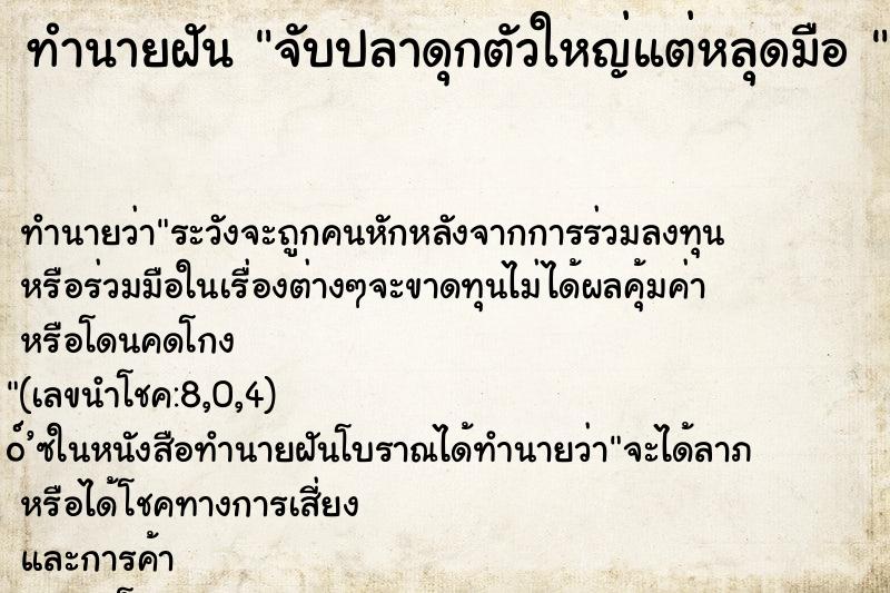ทำนายฝันทำนายฝันจับปลาดุกตัวใหญ่แต่หลุดมือ